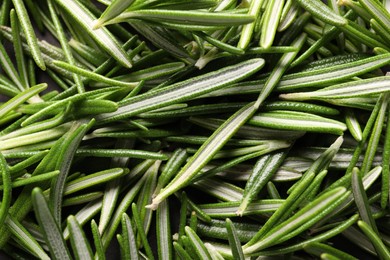 Photo of Fresh green rosemary leaves as background, closeup