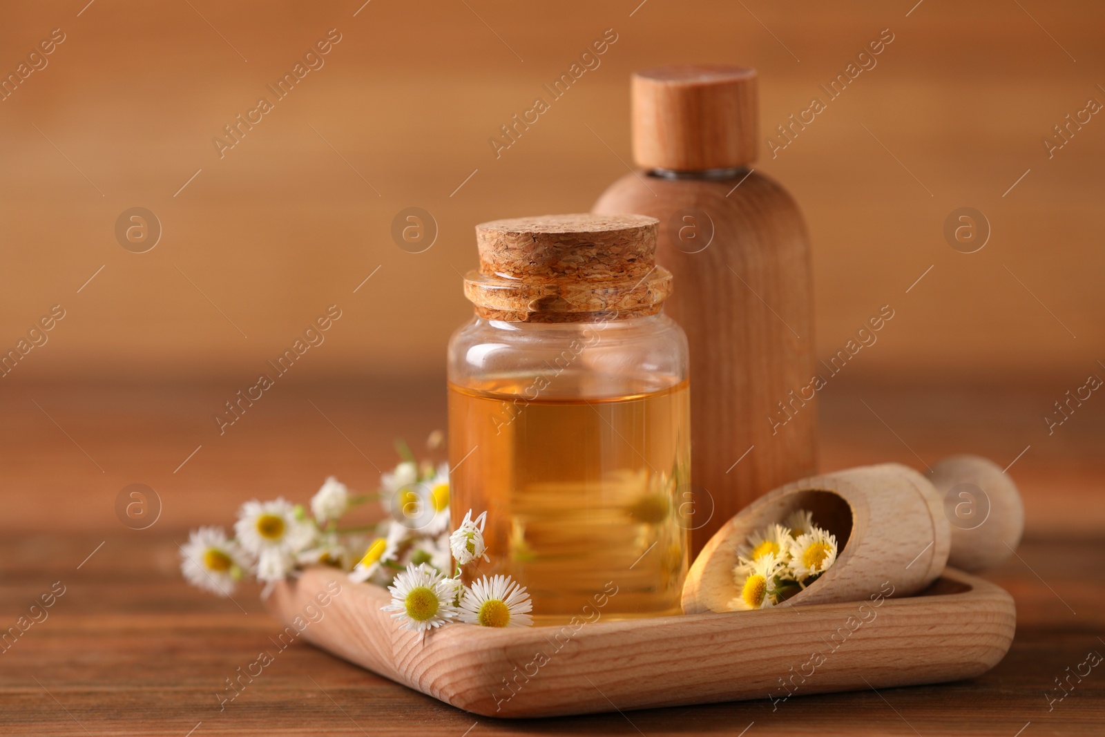 Photo of Bottles of chamomile essential oil and flowers on wooden table