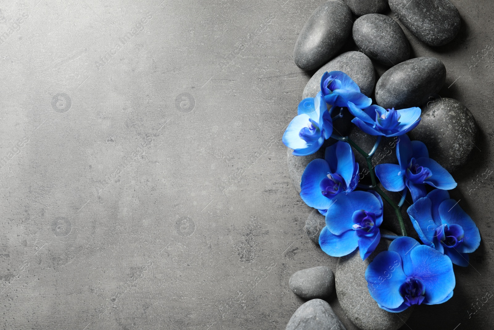 Photo of Flat lay composition with spa stones and orchid flowers on grey background. Space for text