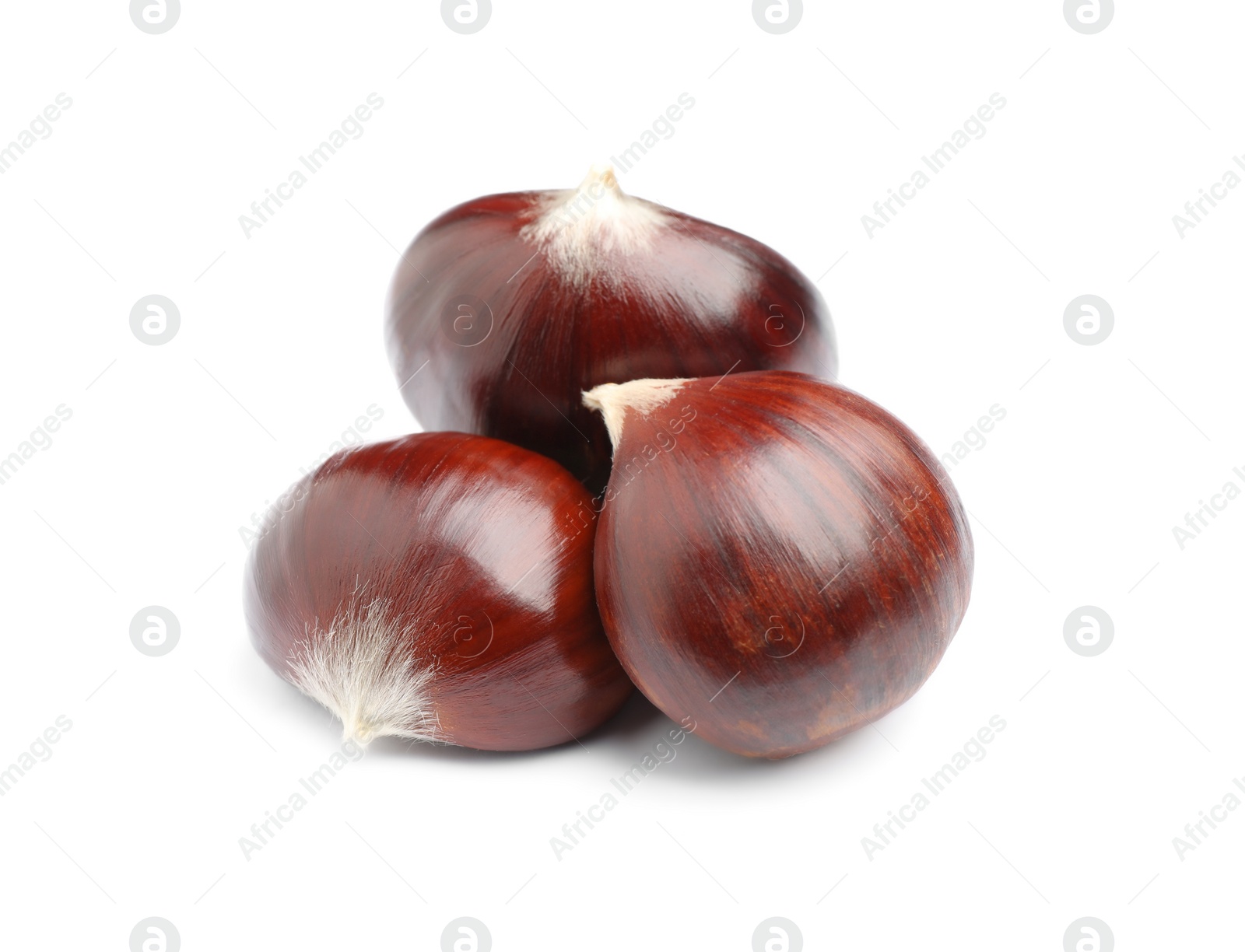 Photo of Fresh sweet edible chestnuts on white background