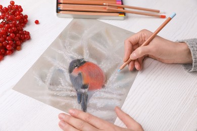 Woman drawing beautiful bullfinch on snowy branch with pastel pencil at white wooden table, closeup