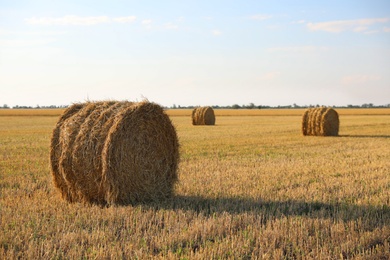 Photo of Round rolled hay bales in agricultural field on sunny day