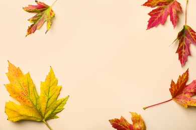 Photo of Colorful autumn leaves on beige background, flat lay. Space for text