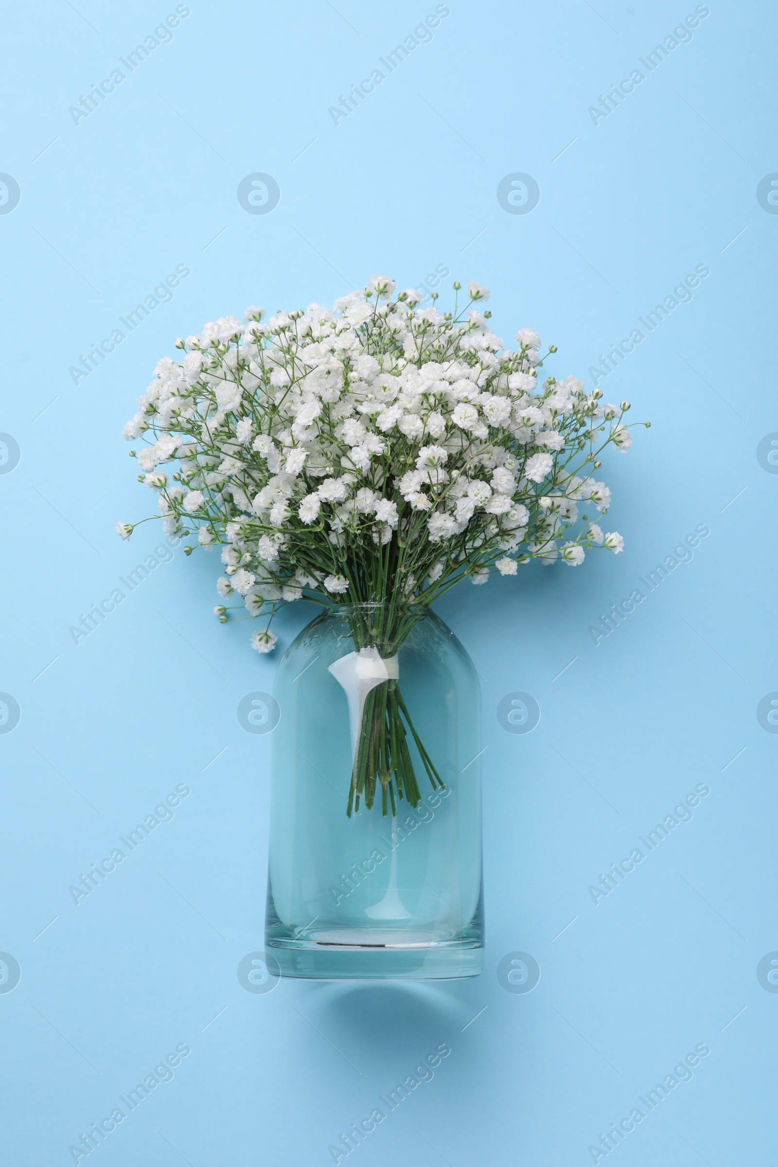 Photo of Bouquet of white gypsophila in glass vase on light blue background, top view