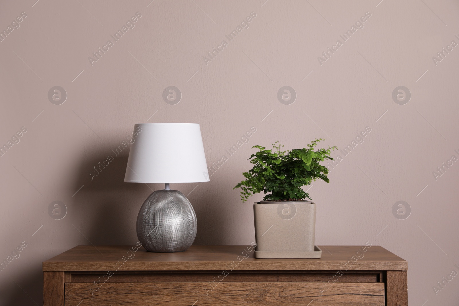 Photo of Beautiful fresh potted fern and lamp on wooden cabinet