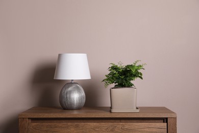 Beautiful fresh potted fern and lamp on wooden cabinet