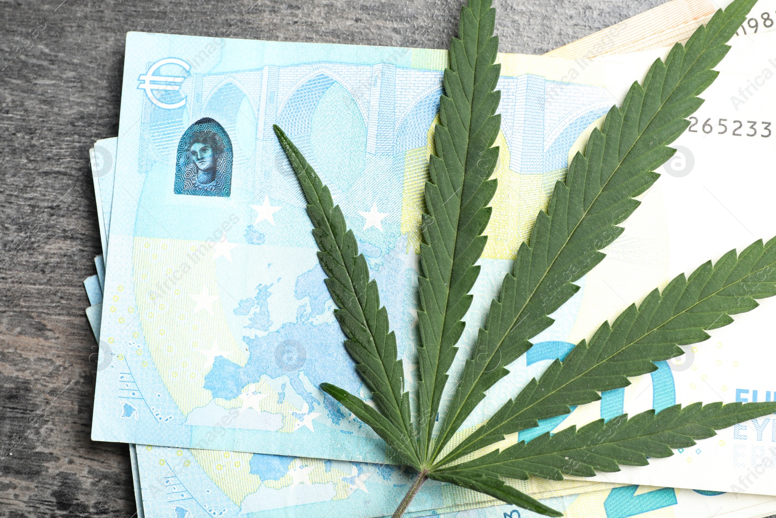 Photo of Hemp leaf and euro banknotes on grey wooden background, top view