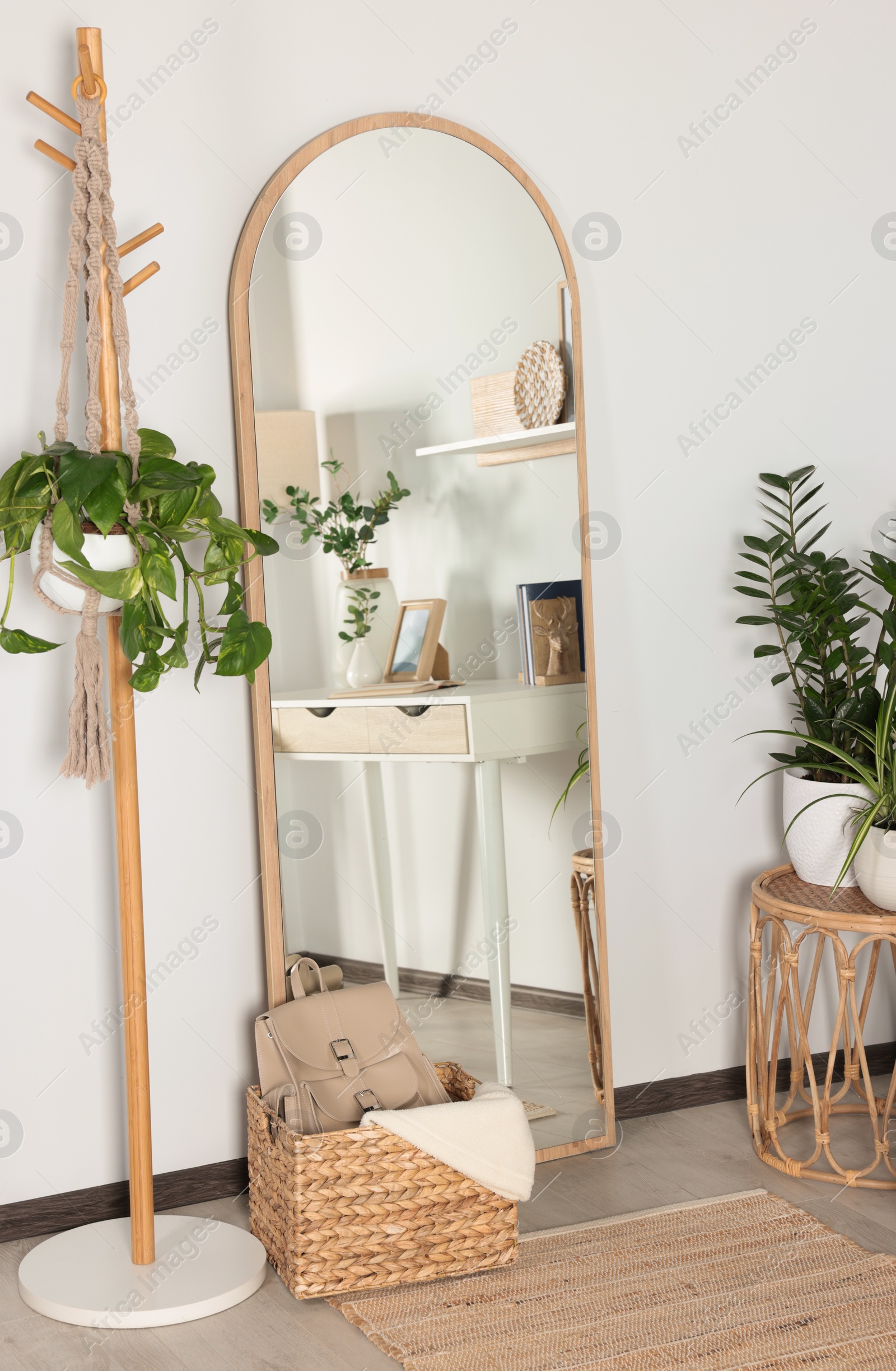 Photo of Modern room interior with large mirror and beautiful green plants