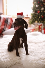 Photo of Cute dog wearing small Santa hat in room decorated for Christmas