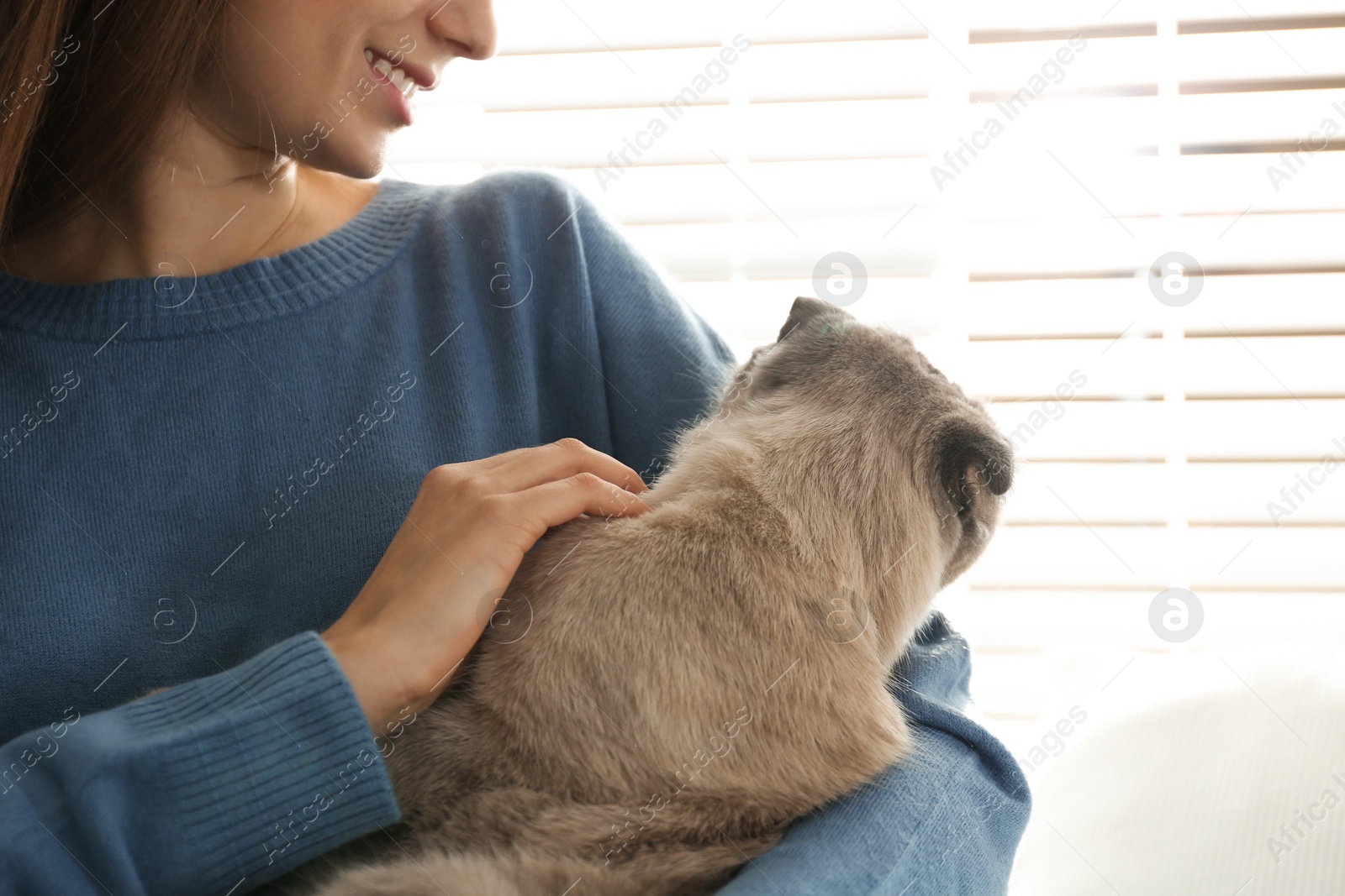 Photo of Young woman with cute cat at home, closeup. Fluffy pet