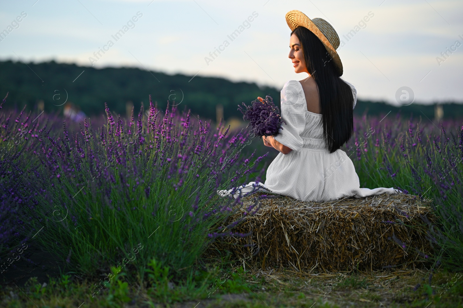 Photo of Woman sitting on hay bale in lavender field, back view