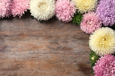 Photo of Beautiful aster flowers and space for text on wooden background, flat lay