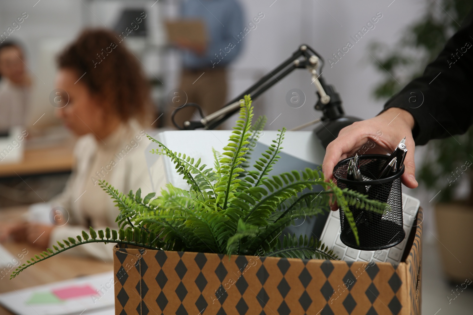 Photo of Dismissed man packing stuff into box at office, closeup