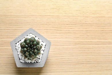 Beautiful succulent plant in stylish flowerpot on wooden background, top view with space for text. Home decor