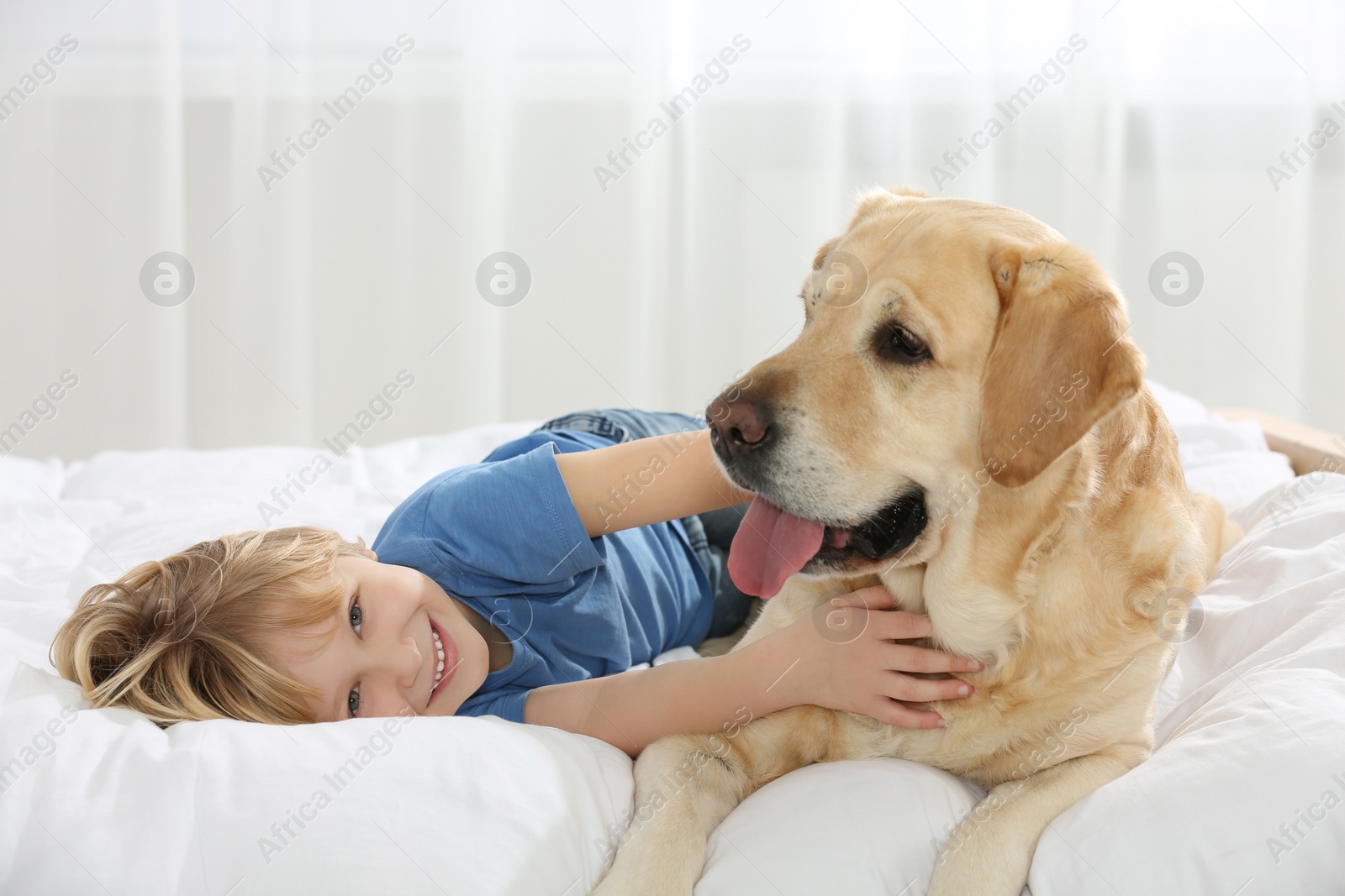 Photo of Cute little child with Golden Retriever on bed. Adorable pet