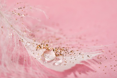 Closeup view of beautiful feather with dew drops and glitter on pink background