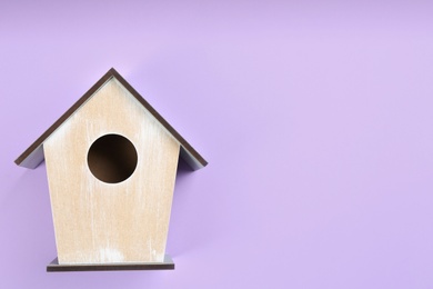 Beautiful bird house on violet background, top view. Space for text