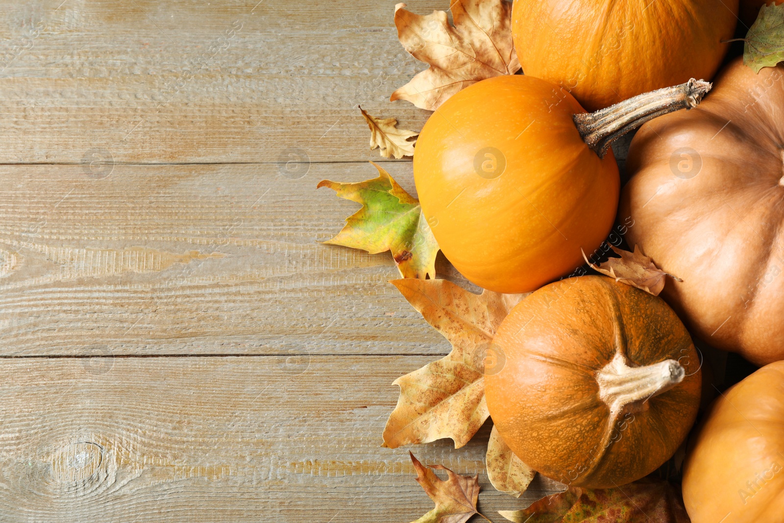 Photo of Ripe pumpkins on wooden background, flat lay with space for text. Holiday decoration