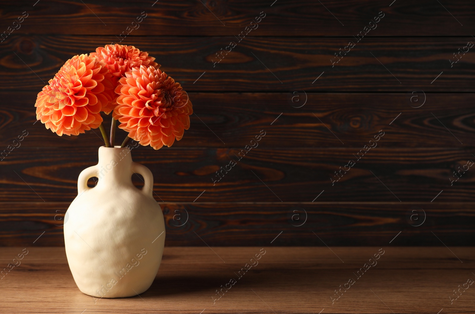 Photo of Beautiful flowers in vase on wooden table, space for text