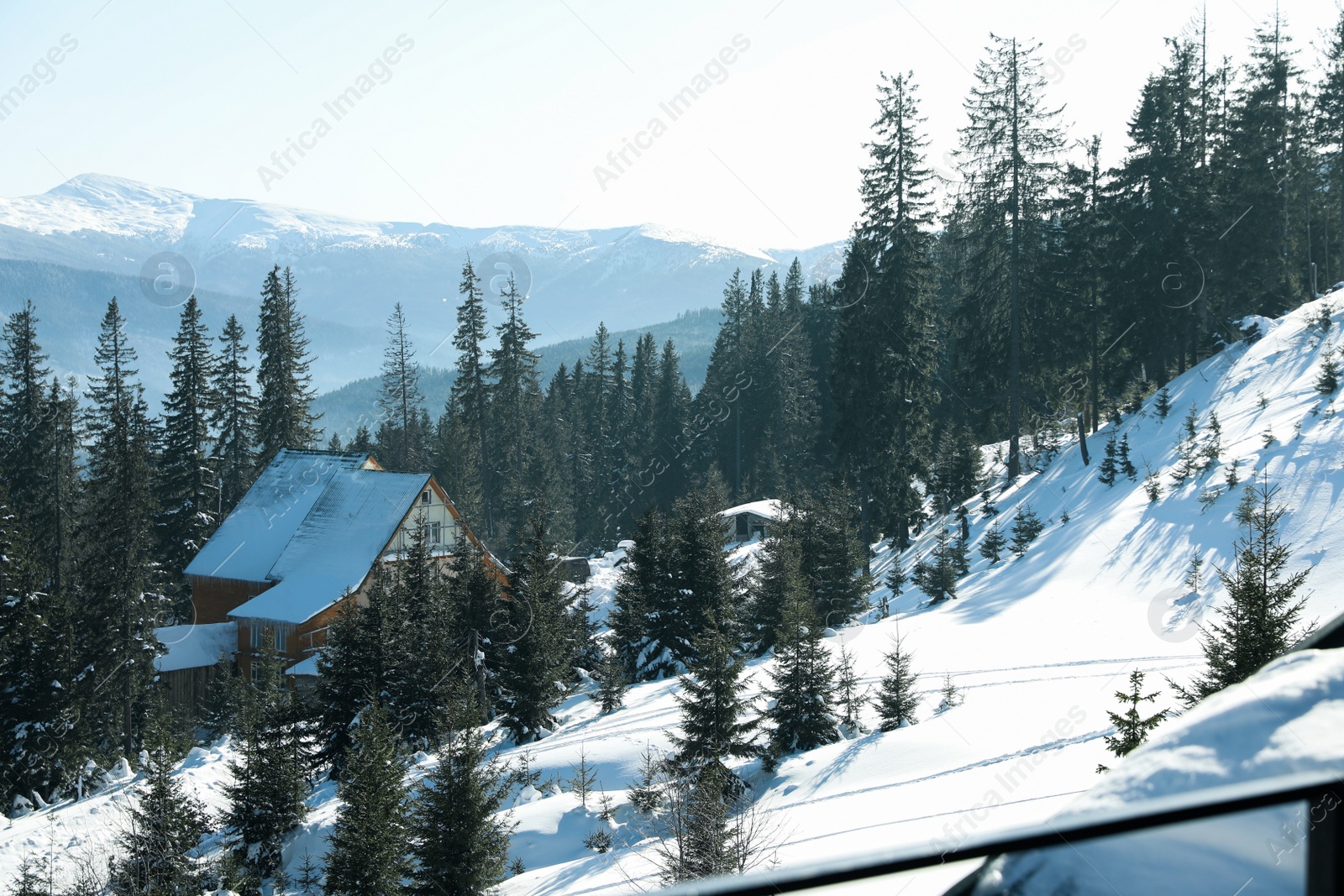 Photo of Mountain village in snowy coniferous forest on winter day