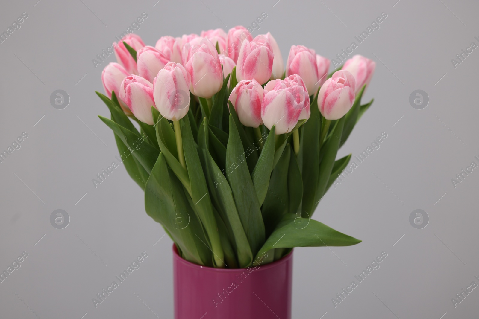 Photo of Beautiful bouquet of fresh pink tulips on light grey background