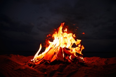 Photo of Beautiful bonfire with burning firewood on beach at night