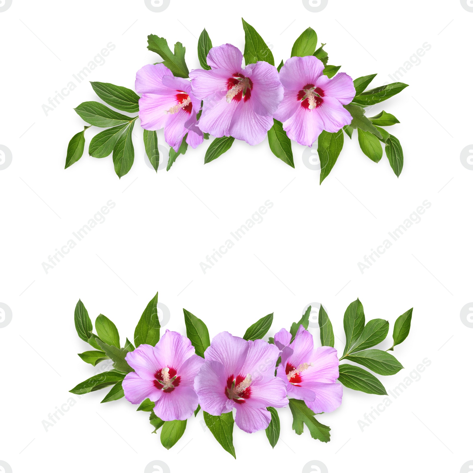 Image of Wreaths made of beautiful flowers on white background