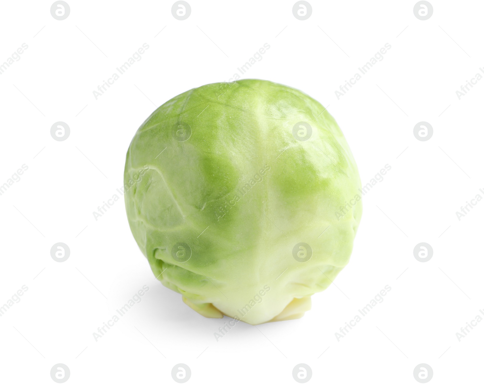 Photo of Fresh tasty Brussels sprout on white background