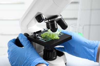 Photo of Scientist inspecting lettuce with microscope in laboratory, closeup. Poison detection