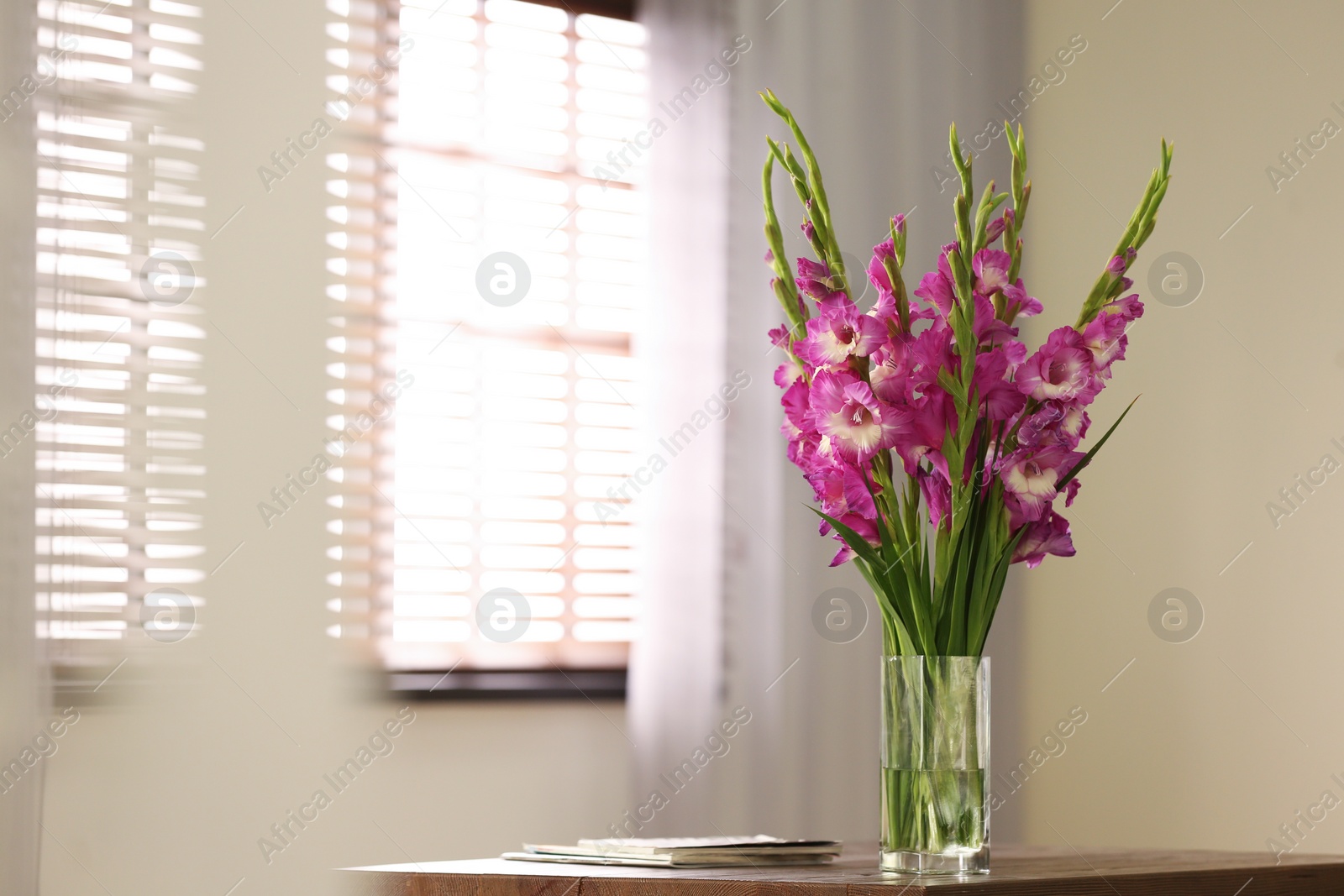 Photo of Vase with beautiful pink gladiolus flowers on wooden table in room, space for text