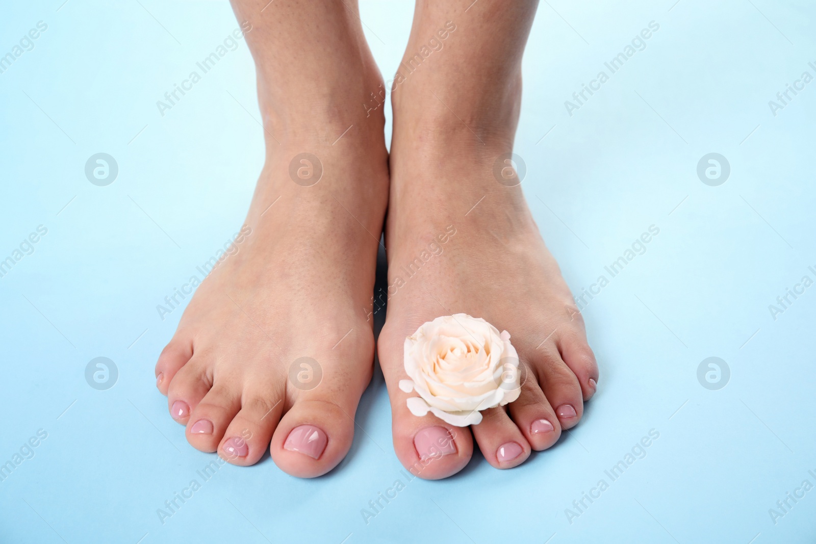 Photo of Woman with smooth feet  and flower on color background, closeup. Spa treatment