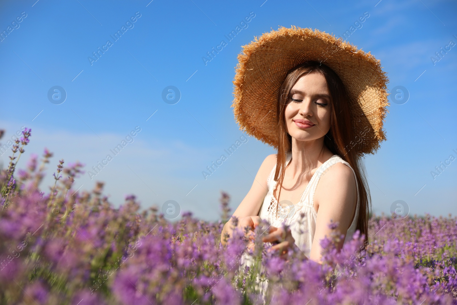 Photo of Young woman in lavender field on summer day