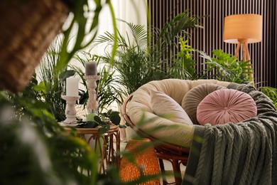 Indoor terrace interior with soft papasan chair and green plants