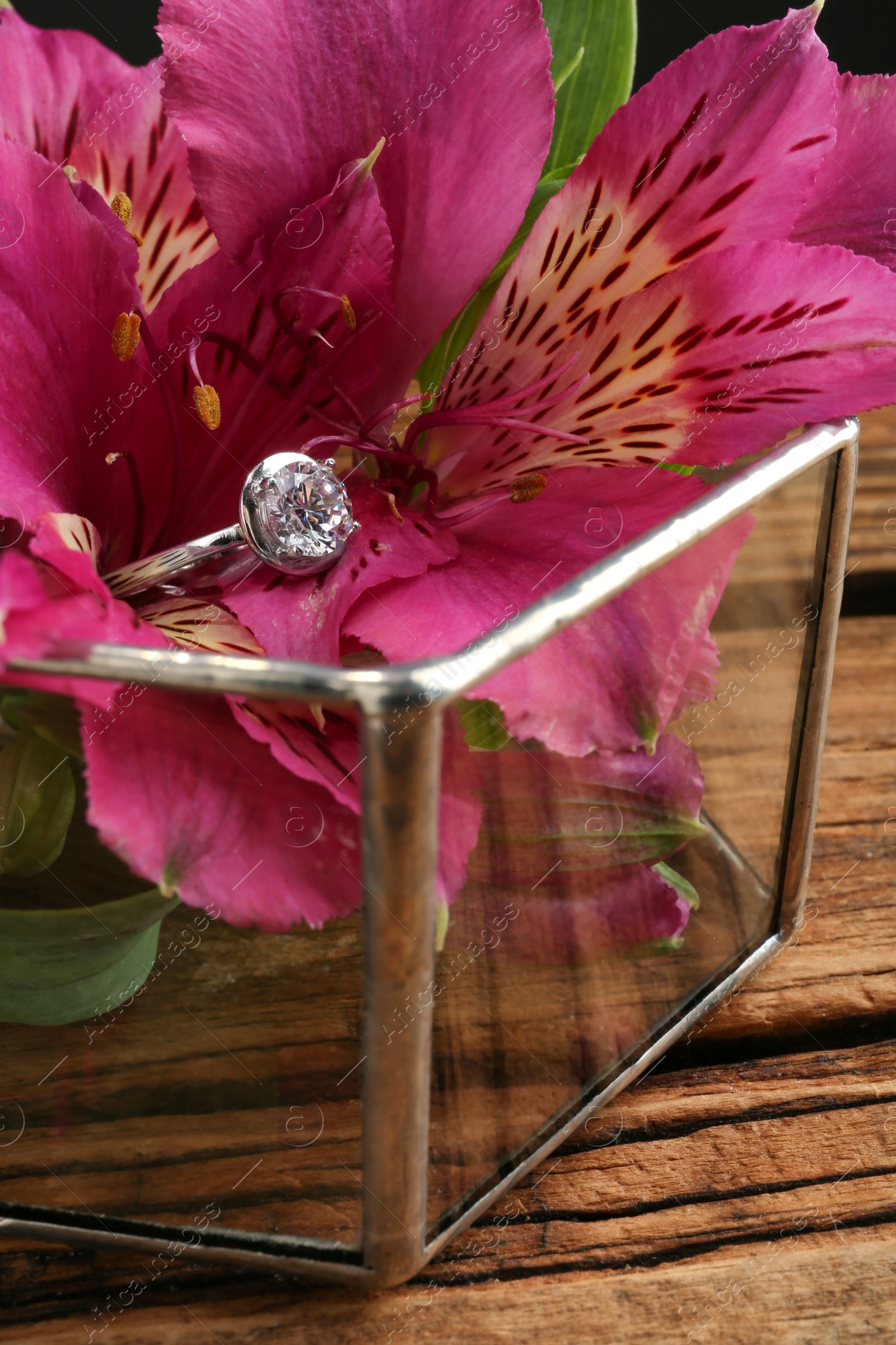 Photo of Beautiful luxury engagement ring with gemstone on flower, closeup