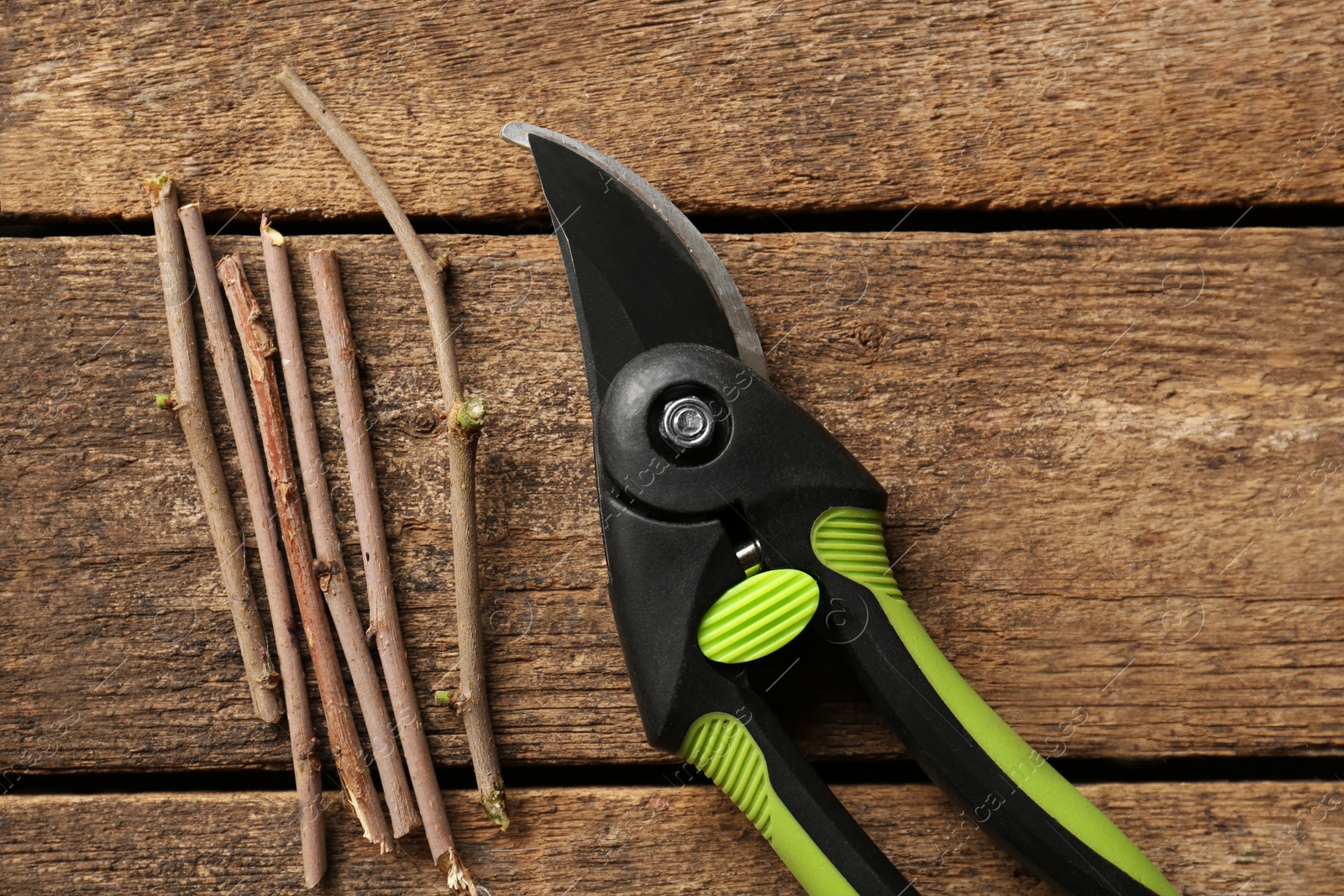 Photo of Secateur with wooden twigs on table, flat lay