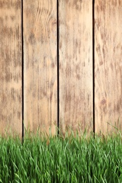 Fresh green grass near wooden fence. Space for text