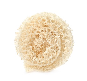 Natural shower loofah sponge isolated on white