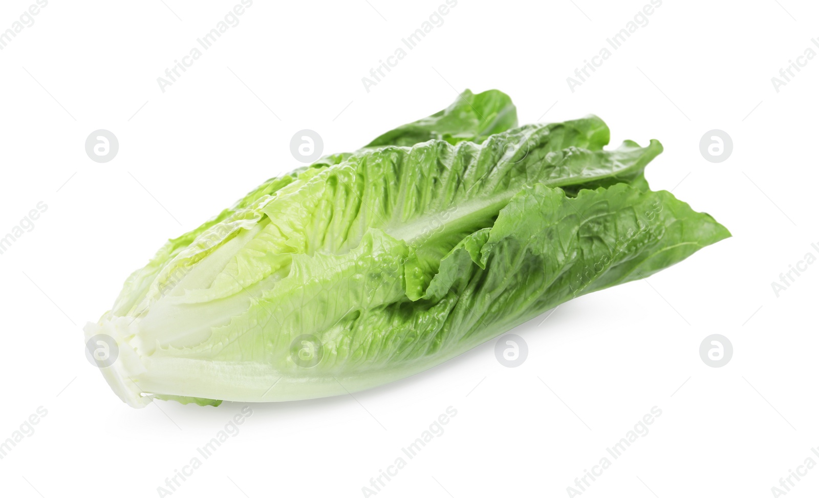 Photo of Fresh green romaine lettuce isolated on white