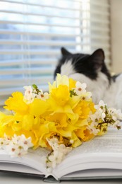 Photo of Beautiful bouquet of yellow daffodils, book and fluffy cat near window, closeup. Space for text