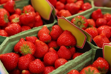 Photo of Many fresh strawberries in containers at market, closeup