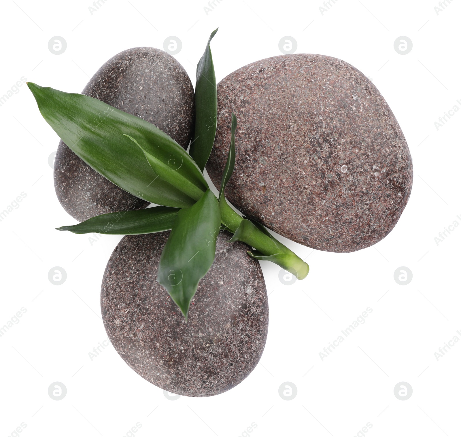 Photo of Spa stones and bamboo leaves on white background, top view