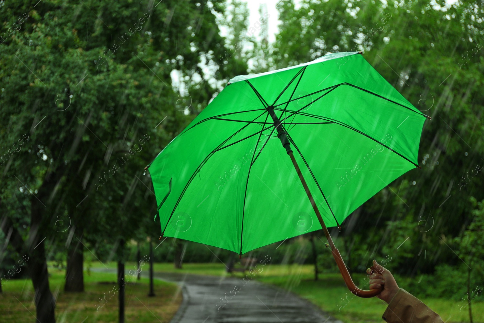 Photo of Woman with green umbrella in park on rainy day