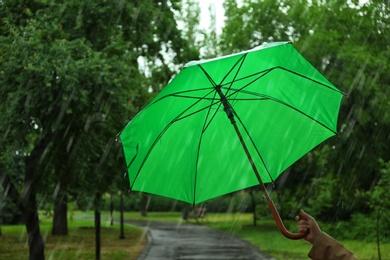 Woman with green umbrella in park on rainy day