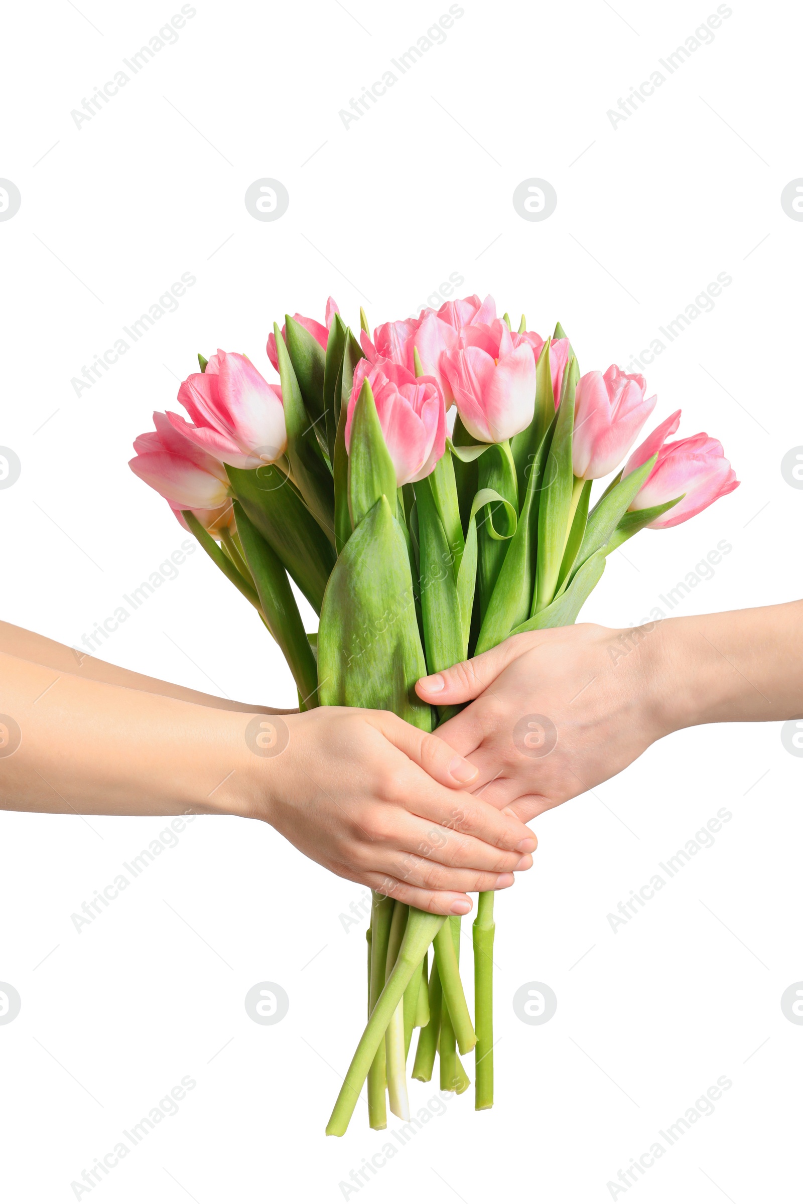 Photo of Man and lady holding bouquet of beautiful spring tulips on light background, closeup. International Women's Day