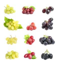 Image of Set with different fresh ripe grapes on white background
