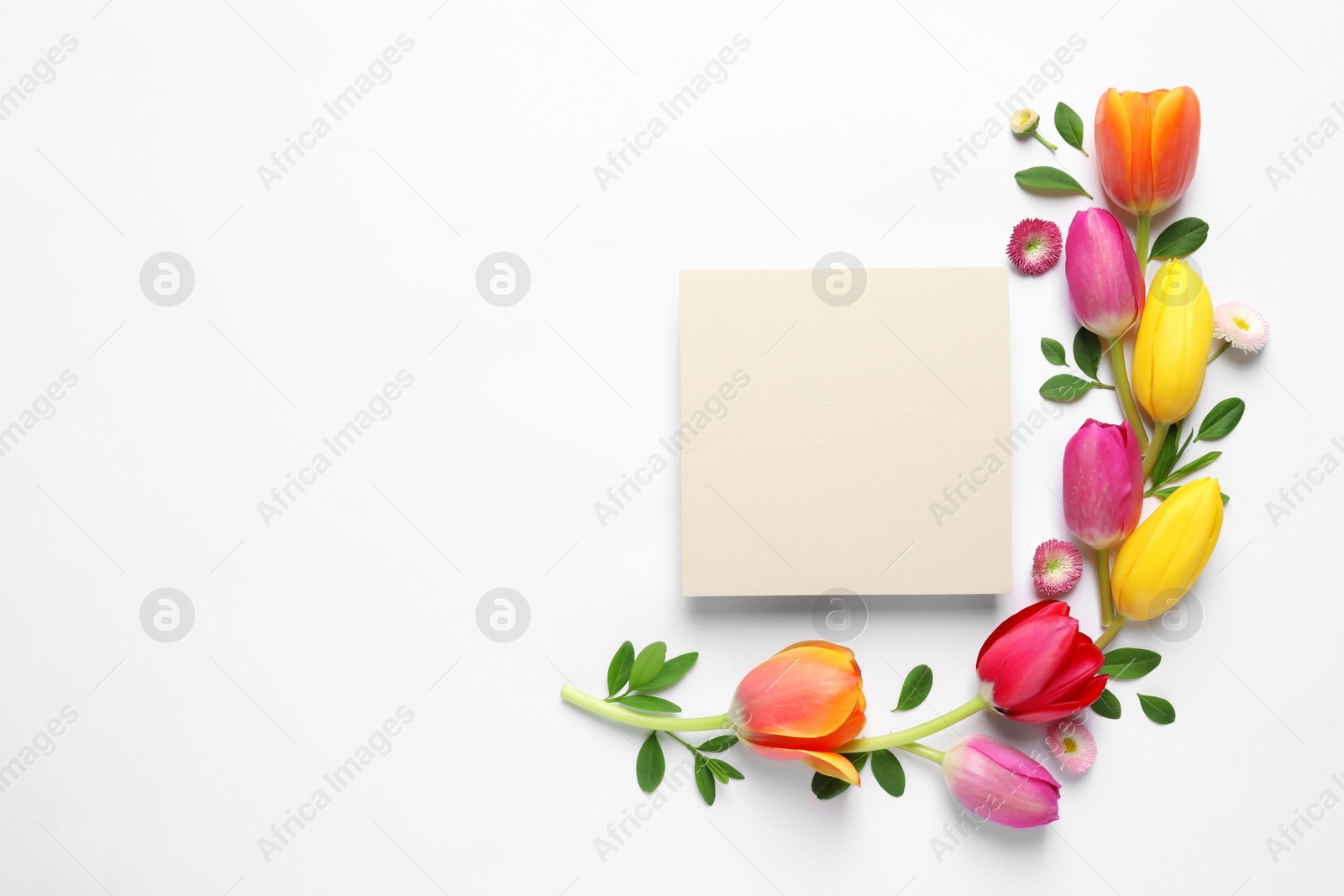 Photo of Beautiful composition with spring flowers and blank card on white background, top view. Space for text