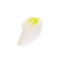 Beautiful fresh tulip petal isolated on white