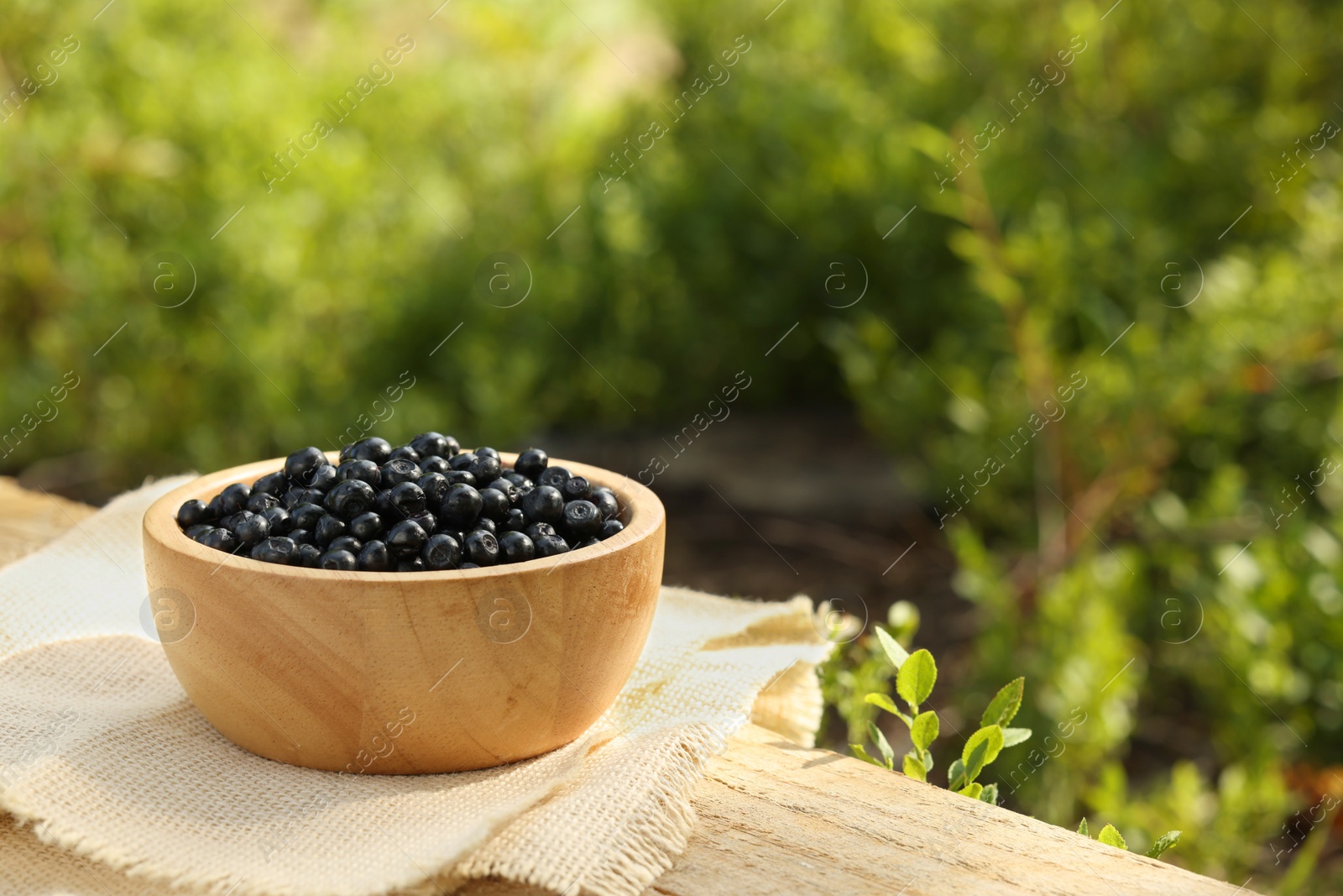 Photo of Bowl of bilberries on wooden table outdoors, space for text