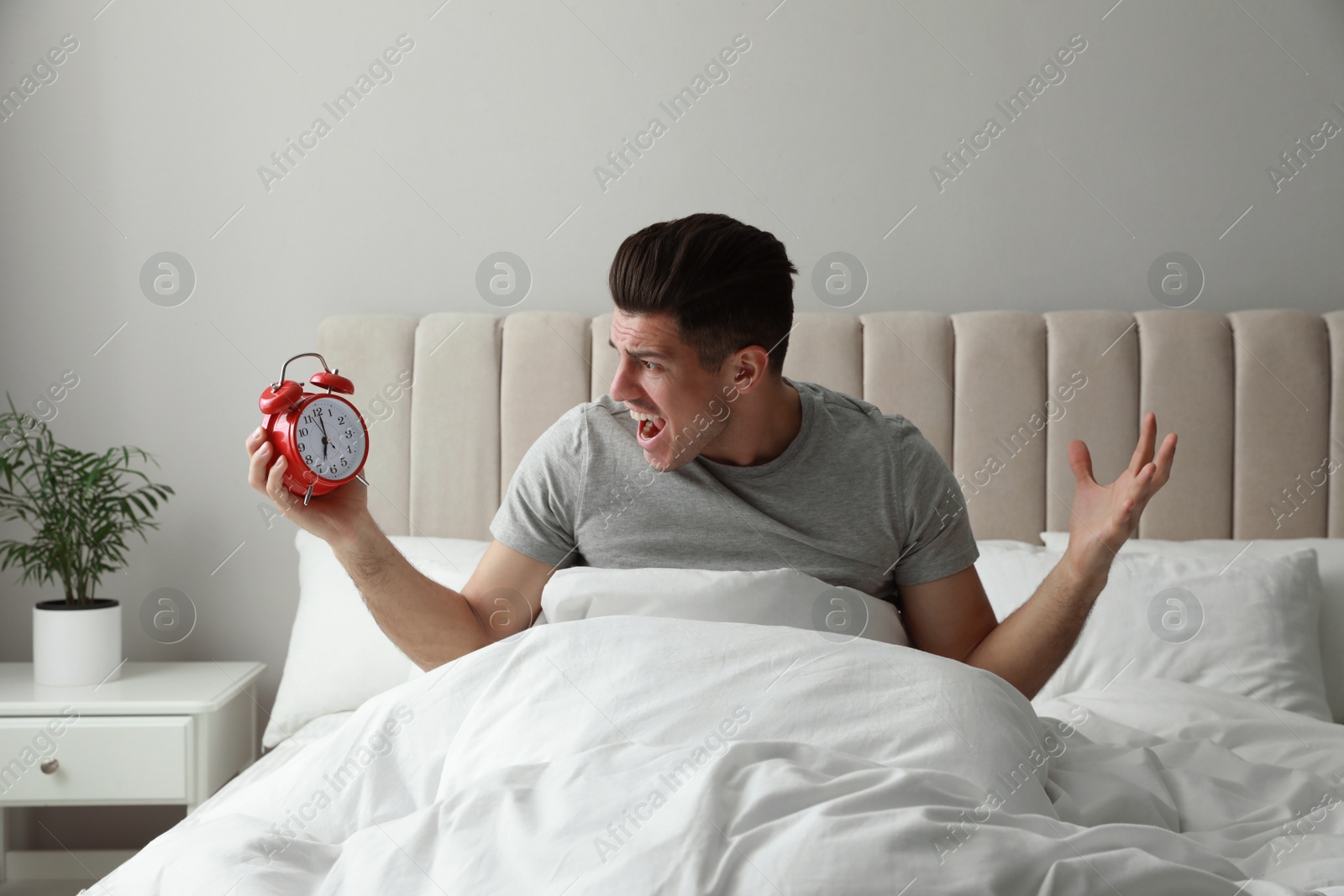 Photo of Emotional man with alarm clock in bed. Being late because of oversleeping