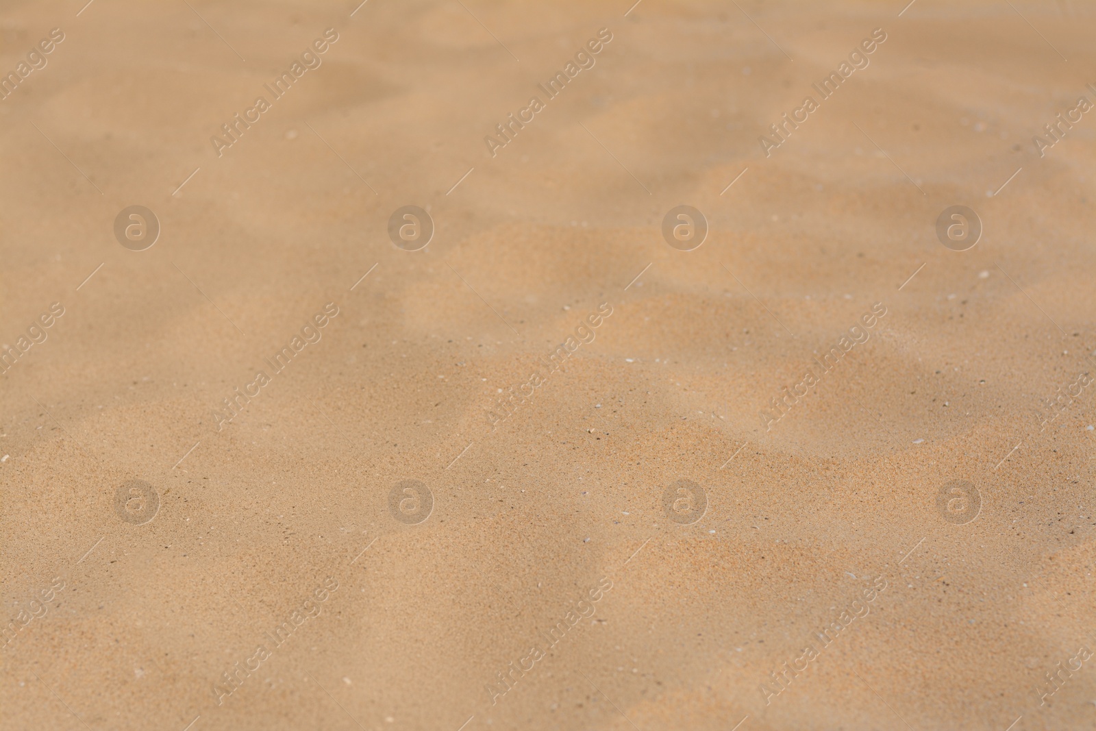 Photo of Texture of sandy beach as background, closeup